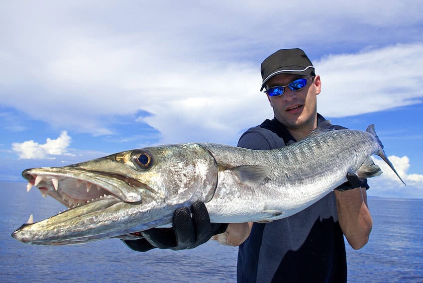 A man fishing for Barracudas