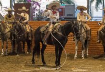 Puerto Vallarta rodeo