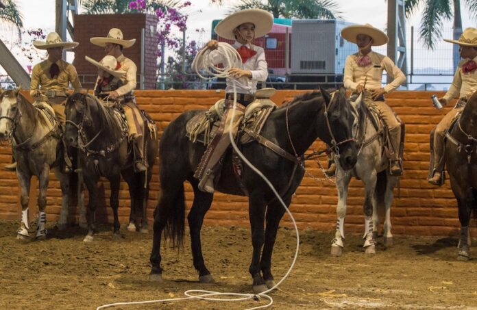 Puerto Vallarta rodeo