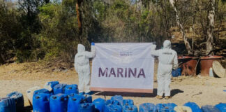 In the first three weeks of 2025, Mexico's navy has confiscated 8.4 tonnes of methamphetamines and 68 tonnes of chemical substances from 10 narco-labs.