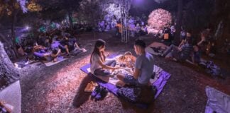 birthday Mexico City