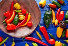 A colorful selection of Mexican chile varieties used for food in Mexico