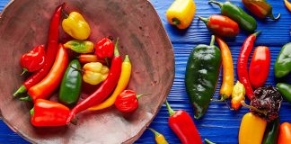 A colorful selection of Mexican chile varieties used for food in Mexico