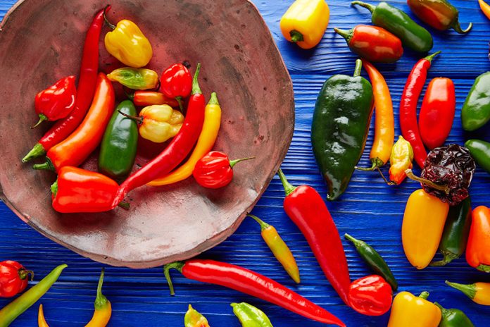 A colorful selection of Mexican chile varieties used for food in Mexico