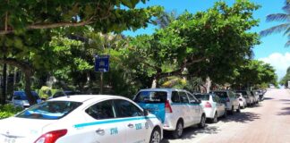 Taxis parked by the road in Quintana Roo, where the legislature has recently increased penalties for transit-related violence and extortion