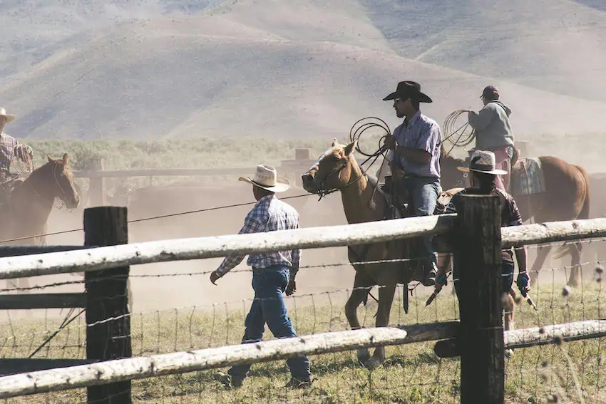 A group of cowboys about to start a rodeo in Texas