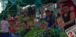 Official data released on Monday by the national statistics institute INEGI indicated prices rose by 0.15% in the first two weeks of February, as compared to the second half of January.