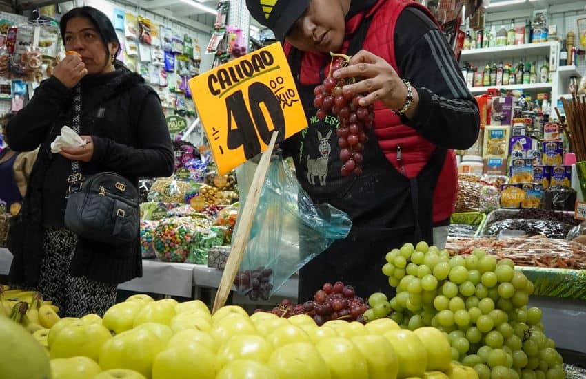 Mexican woman looking at a bunch of red grapes in her hand as she prepares to put it into a plastic fruit and vegetable bag.