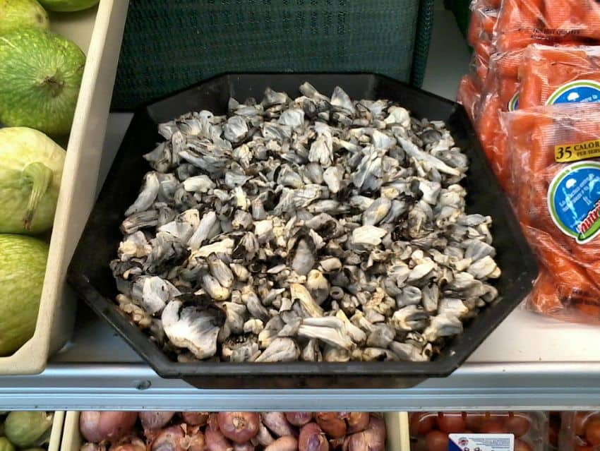 Cuitlacoche o Huitlacoche empaquetado en un supermercado