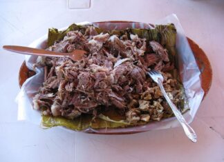 Plate of Hidalgo barbacoa