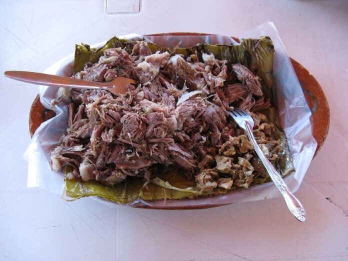 Plate of Hidalgo barbacoa