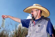 A man points at the Casa Blanca wetlands