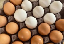 Egg prices in the U.S. have reached all-time highs