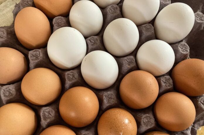 Egg prices in the U.S. have reached all-time highs