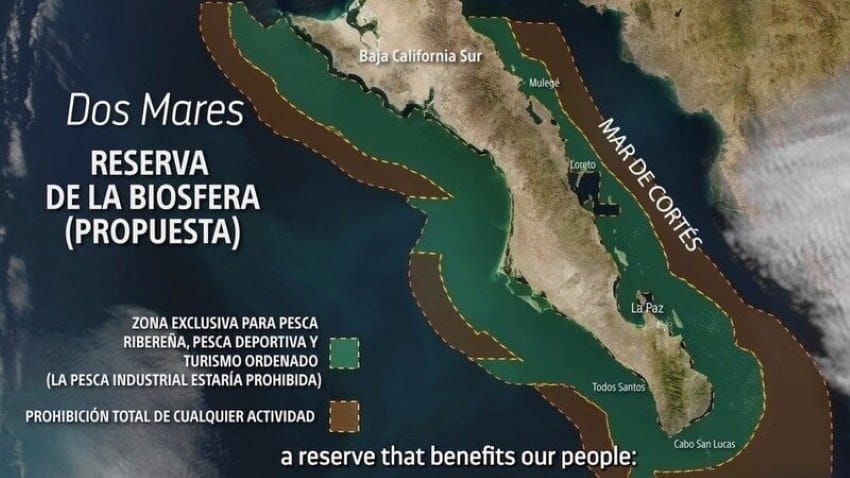 map showing the proposed area around the coastline of the Baja California Peninsula where the proposed Dos Mares Biosphere Reserve would be located.