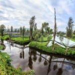 View of a Xochimilco chinampa across a canal