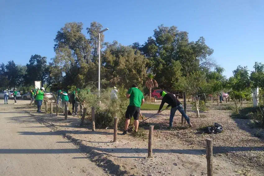 Citizens in tee shirts and shorts and jeans doing cleanup at a tree-filled park in La Paz, Mexico, using rakes