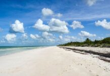 Beach of El Cuyo, Yucatan