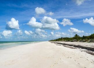 Beach of El Cuyo, Yucatan