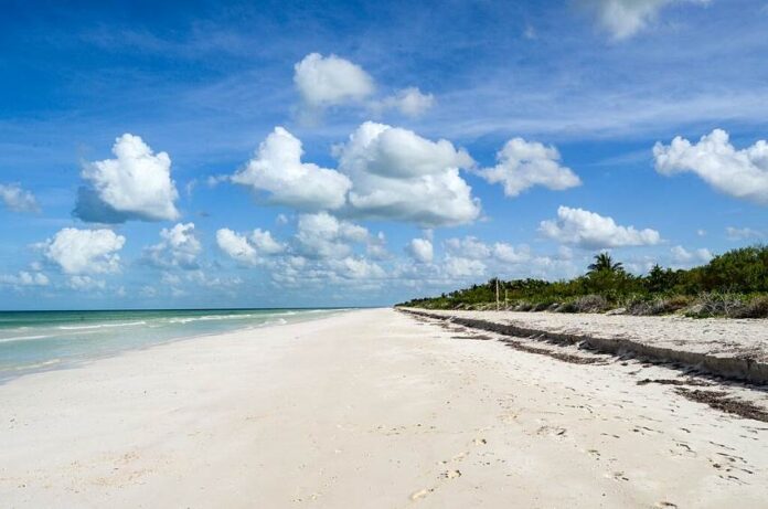 Beach of El Cuyo, Yucatan