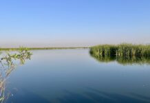 Lake Texcoco will join 63 other Ecohydrology Demonstration Sites around the world that are working to protect wetlands.