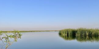 Lake Texcoco will join 63 other Ecohydrology Demonstration Sites around the world that are working to protect wetlands.