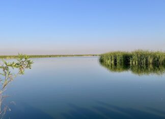 Lake Texcoco will join 63 other Ecohydrology Demonstration Sites around the world that are working to protect wetlands.