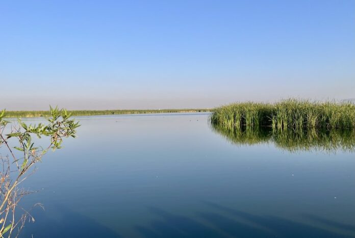 Lake Texcoco will join 63 other Ecohydrology Demonstration Sites around the world that are working to protect wetlands.