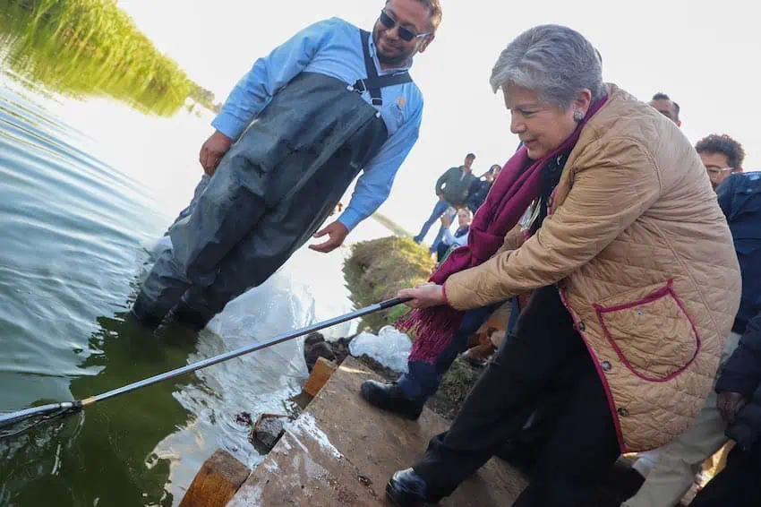 Environment Minister Alicia Bárcena at Lake Texcoco