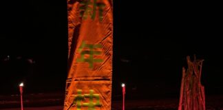 Chinese new year careyes