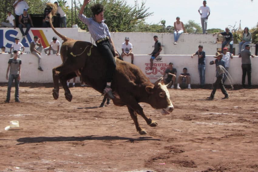 A man riding a bull at the Ajijic bull festival