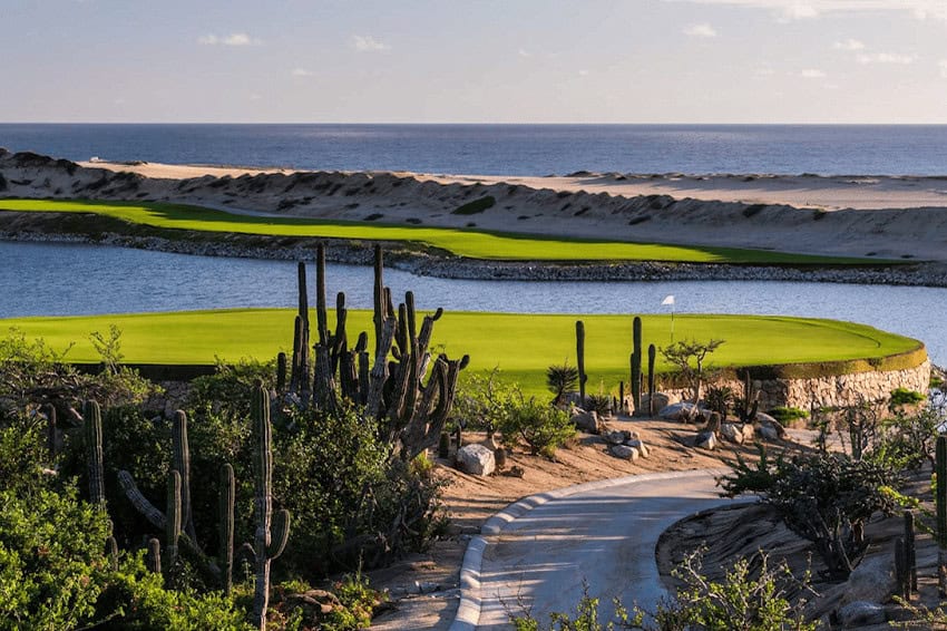 Ocean view at Solmar Golf Links with cacti in foreground. Is Los Cabos too expensive?