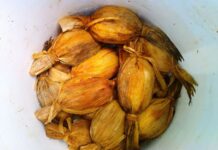 Bucket of tamales de bola, Chiapas food