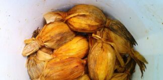 Bucket of tamales de bola, Chiapas food