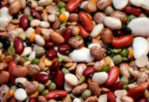 Different varieties of Mexican beans