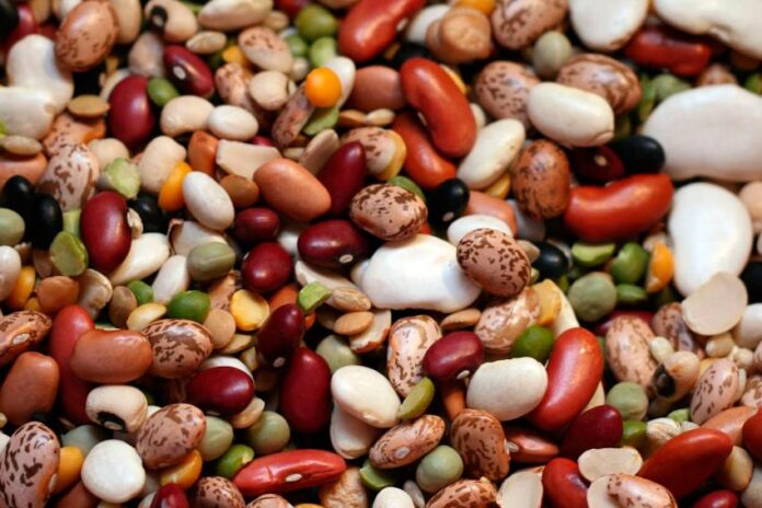 Different varieties of Mexican beans