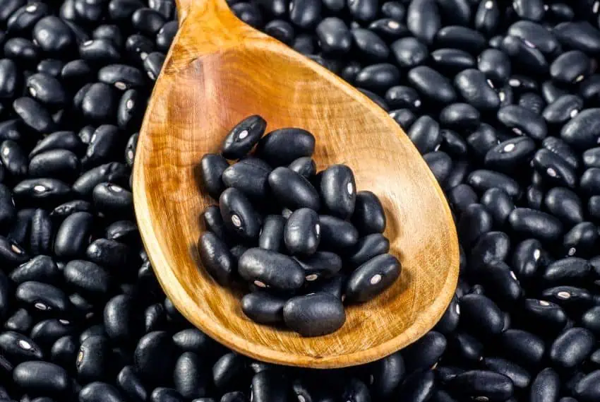 Black beans in wooden spoon