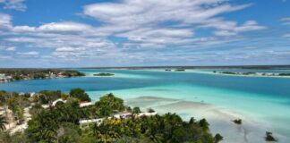 A view of the clear blue water of Bacalar Lagoon, with mangroves on the shore.