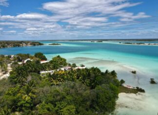 A view of the clear blue water of Bacalar Lagoon, with mangroves on the shore.