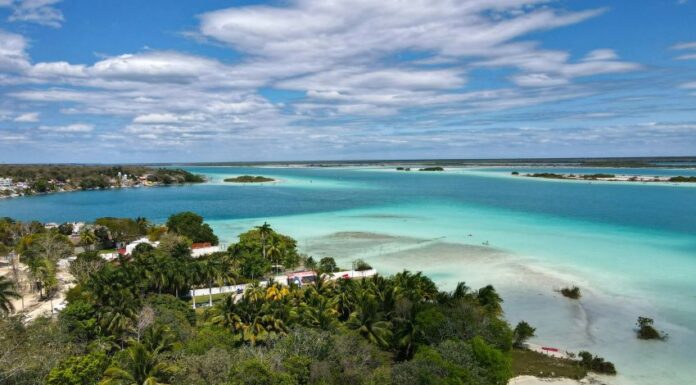 A view of the clear blue water of Bacalar Lagoon, with mangroves on the shore.