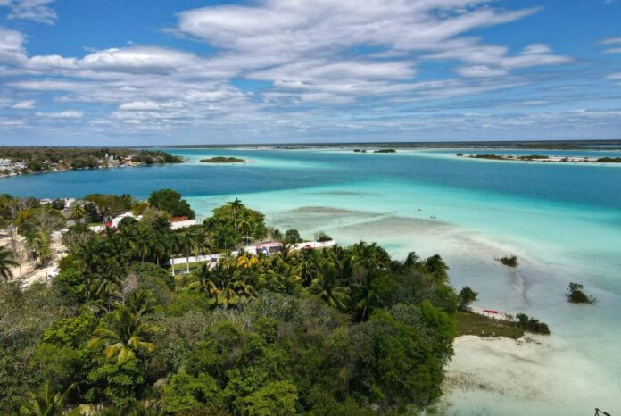 A view of the clear blue water of Bacalar Lagoon, with mangroves on the shore.