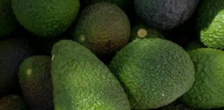 Avocados Super Bowl 2025