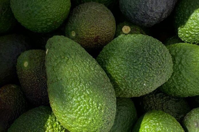 Avocados Super Bowl 2025