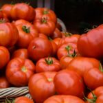 Taste of Mexico: Tomato pile