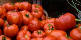 Taste of Mexico: Tomato pile
