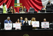 Members of the Mexican Chamber of Deputies hold signs related to the ban on GM corn reading "Somos los hijos del maiz"