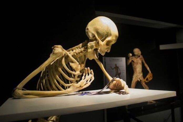 What's on in Mexico City in March? A skeleton sitting at a table