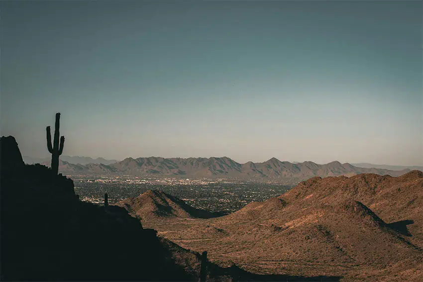 A saguaro cactus and a view of Phoenix, Arizona