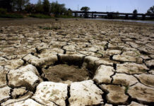 Cracks run through the dirt in a dried-out reservoir, representing intense drought in northwest Mexico