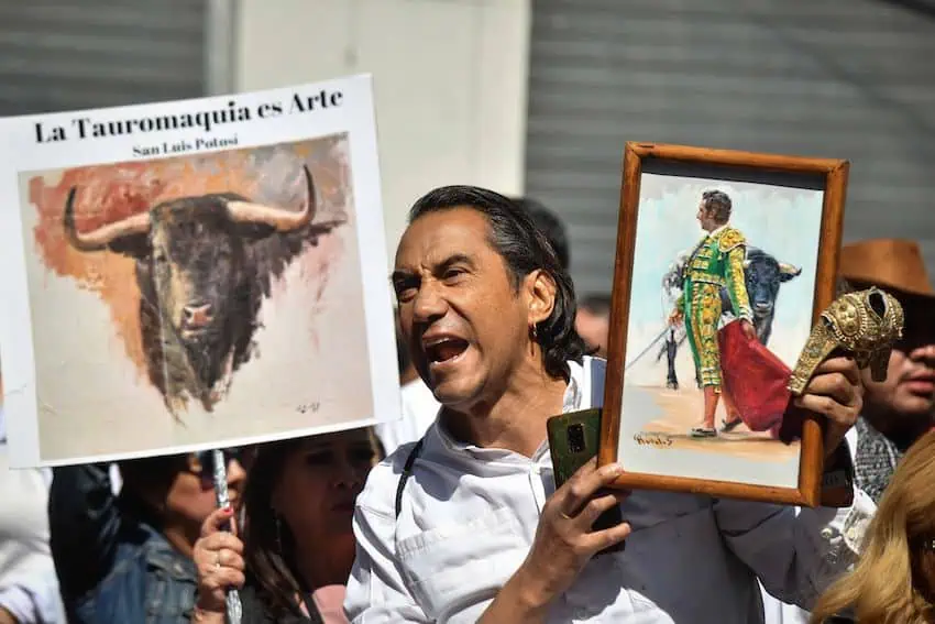 Pro-bullfight protesters